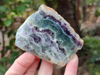 Polished On One Side Watermelon Fluorite Slices x 6 From Uis, Namibia