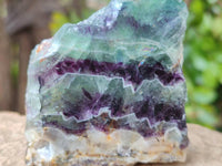 Polished On One Side Watermelon Fluorite Slices x 6 From Uis, Namibia
