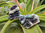 Polished On One Side Watermelon Fluorite Slices x 6 From Uis, Namibia - Toprock Gemstones and Minerals 