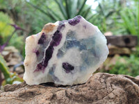 Polished On One Side Watermelon Fluorite Slices x 6 From Uis, Namibia