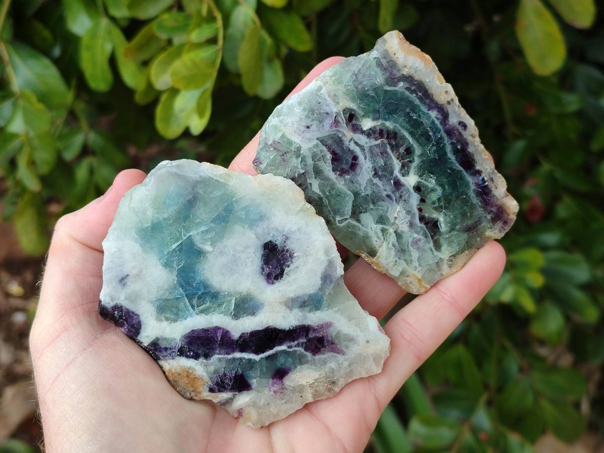 Polished On One Side Watermelon Fluorite Slices x 6 From Uis, Namibia - Toprock Gemstones and Minerals 