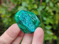 Polished Malacolla Free Forms x 35 From Kulukuluku, Congo