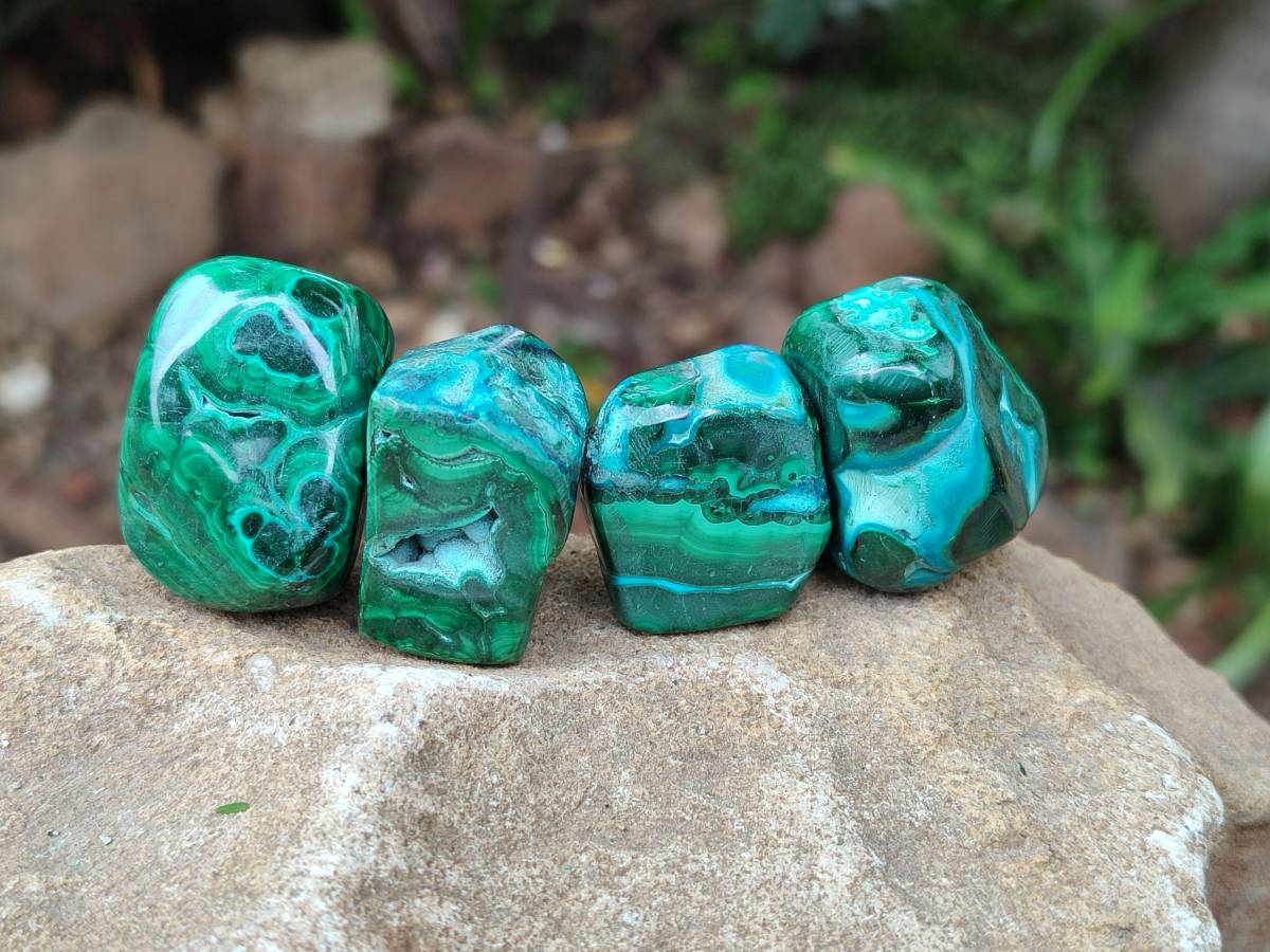 Polished Malacolla Free Forms x 35 From Kulukuluku, Congo - Toprock Gemstones and Minerals 