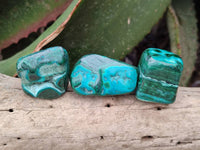 Polished Malacolla Free Forms x 35 From Kulukuluku, Congo