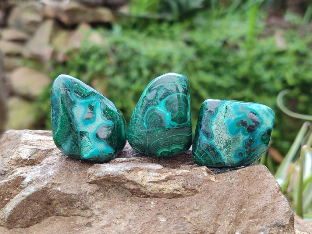 Polished Malacolla Free Forms x 35 From Kulukuluku, Congo - Toprock Gemstones and Minerals 