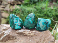 Polished Malacolla Free Forms x 35 From Kulukuluku, Congo