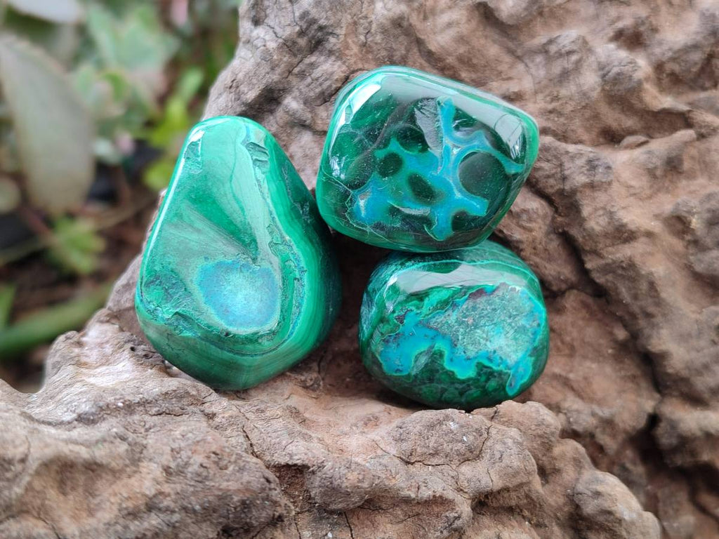 Polished Malacolla Free Forms x 35 From Kulukuluku, Congo - Toprock Gemstones and Minerals 