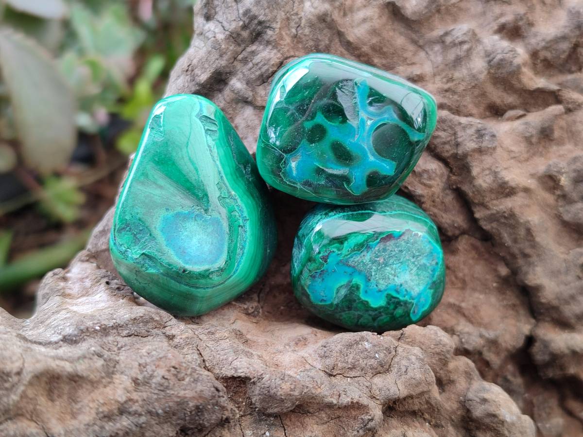 Polished Malacolla Free Forms x 35 From Kulukuluku, Congo - Toprock Gemstones and Minerals 