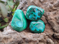 Polished Malacolla Free Forms x 35 From Kulukuluku, Congo