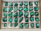 Polished Malacolla Free Forms x 35 From Kulukuluku, Congo - Toprock Gemstones and Minerals 