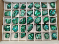 Polished Malacolla Free Forms x 35 From Kulukuluku, Congo