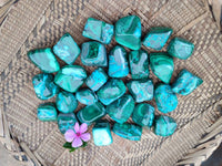 Polished Malacolla Free Forms x 35 From Kulukuluku, Congo