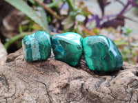 Polished Malacolla Free Forms x 35 From Kulukuluku, Congo