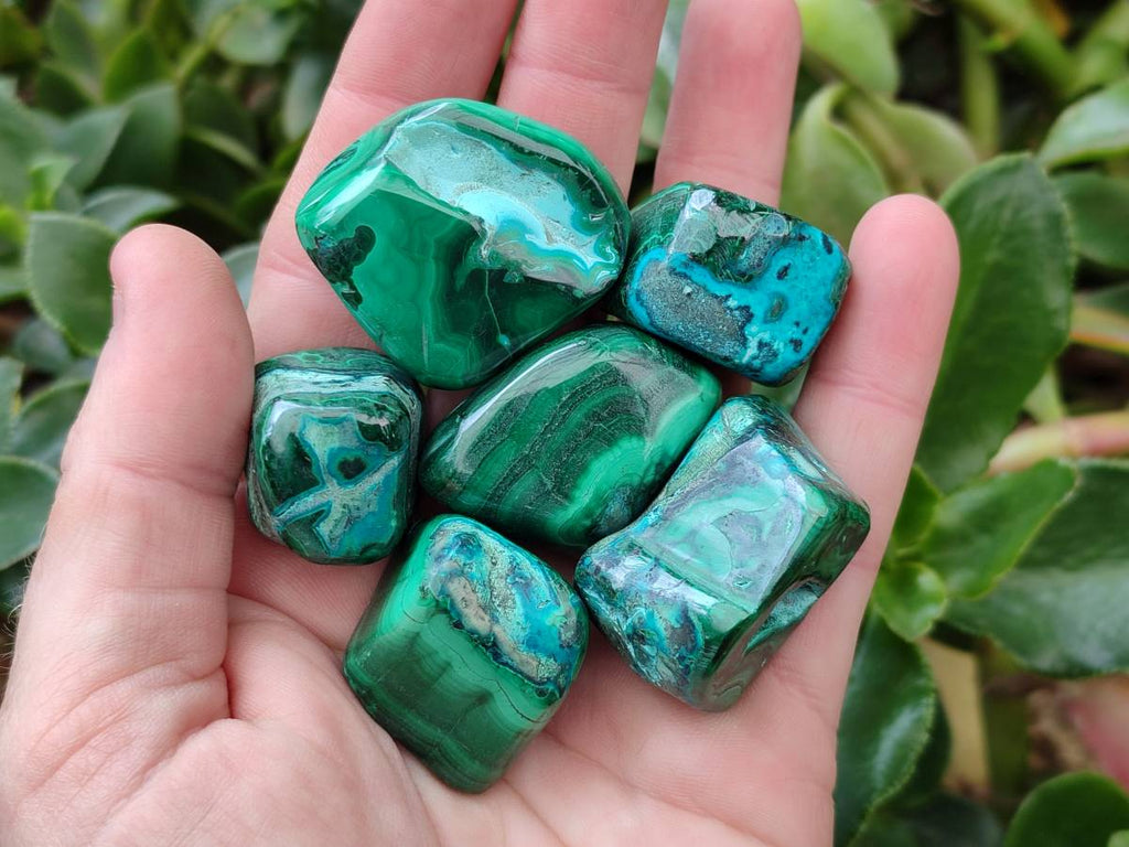 Polished Malacolla Free Forms x 35 From Kulukuluku, Congo - Toprock Gemstones and Minerals 