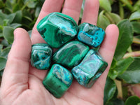 Polished Malacolla Free Forms x 35 From Kulukuluku, Congo