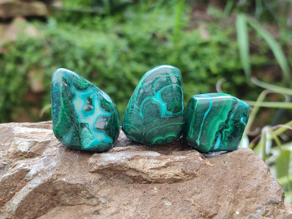 Polished Malacolla Free Forms x 35 From Kulukuluku, Congo - Toprock Gemstones and Minerals 