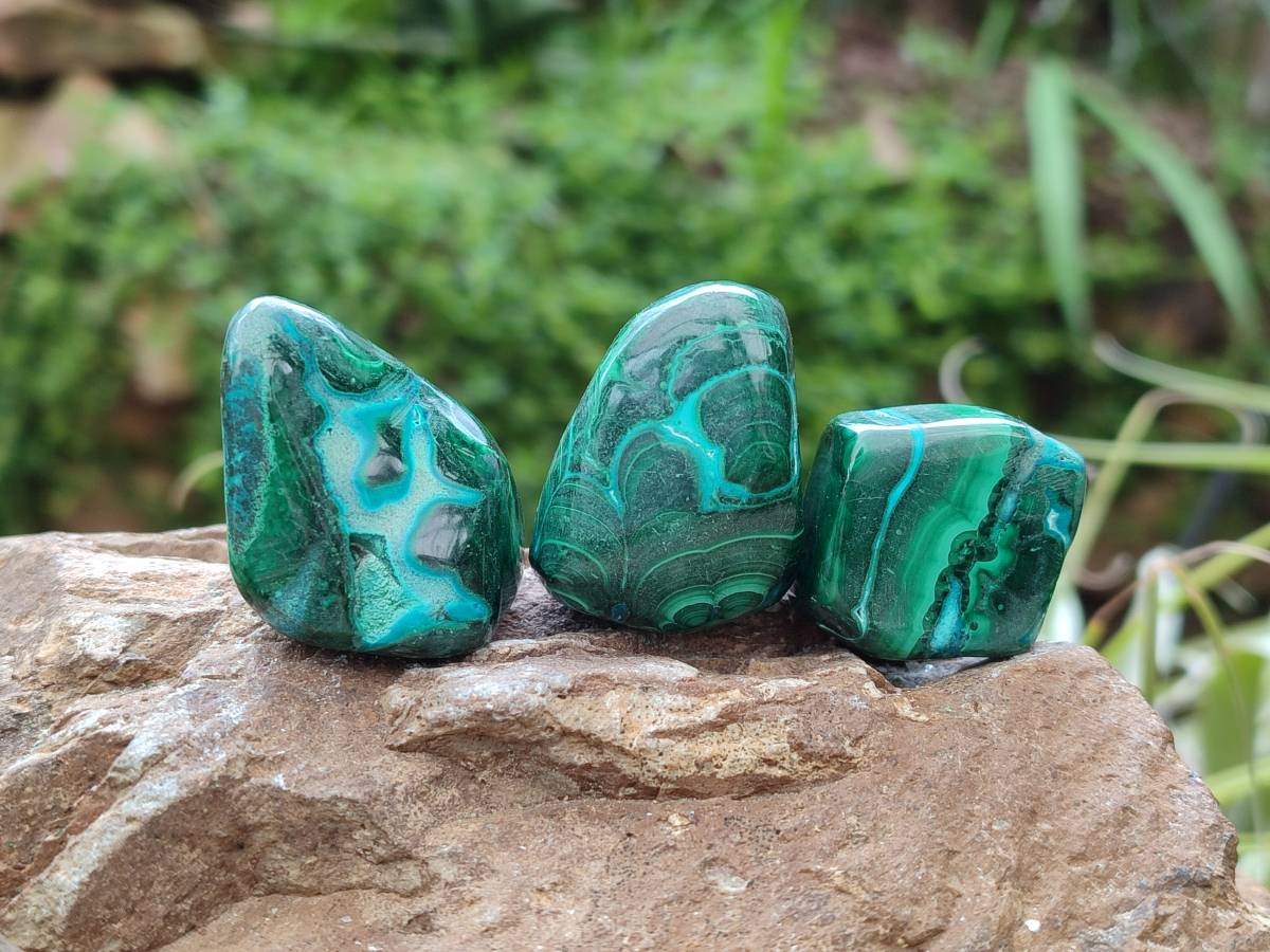 Polished Malacolla Free Forms x 35 From Kulukuluku, Congo - Toprock Gemstones and Minerals 