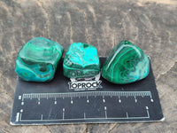 Polished Malacolla Free Forms x 35 From Kulukuluku, Congo