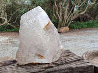 Polished X Large Smokey Quartz Crystal x 1 From Angola