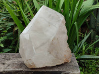 Polished X Large Smokey Quartz Crystal x 1 From Angola