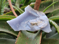 Natural Blue Lace Agate Geode Specimens x 12 From Nsanje, Malawi