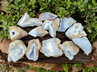 Natural Blue Lace Agate Geode Specimens x 12 From Nsanje, Malawi