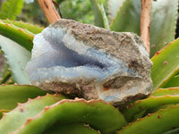 Natural Blue Lace Agate Geode Specimens x 12 From Nsanje, Malawi