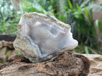 Natural Blue Lace Agate Geode Specimens x 12 From Nsanje, Malawi