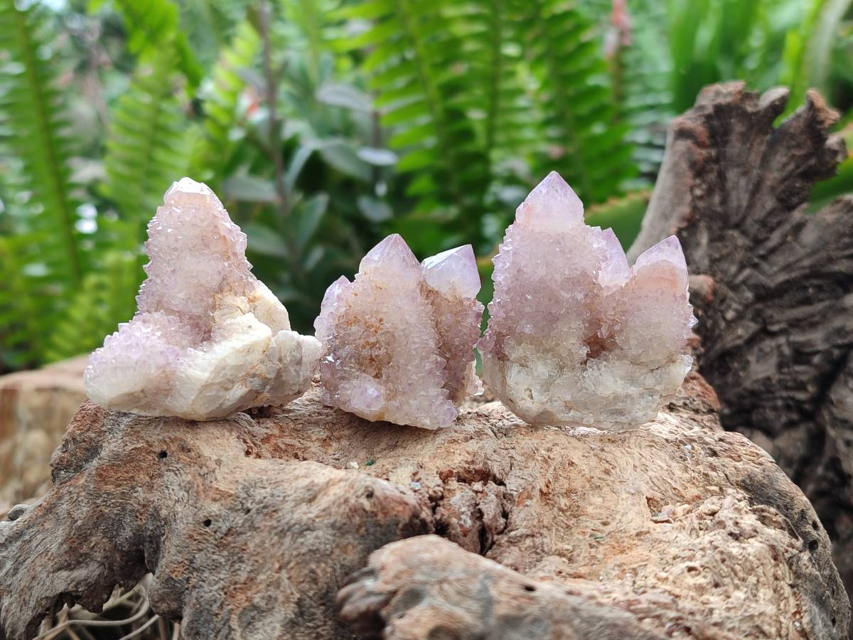 Natural Amethyst Spirit Quartz Clusters x 20 From Boekenhouthoek, South Africa - Toprock Gemstones and Minerals 