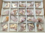 Natural Amethyst Spirit Quartz Clusters x 20 From Boekenhouthoek, South Africa - Toprock Gemstones and Minerals 