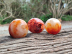 Polished Carnelian Agate Gemstone Galets x 20 From Madagascar - Toprock Gemstones and Minerals 