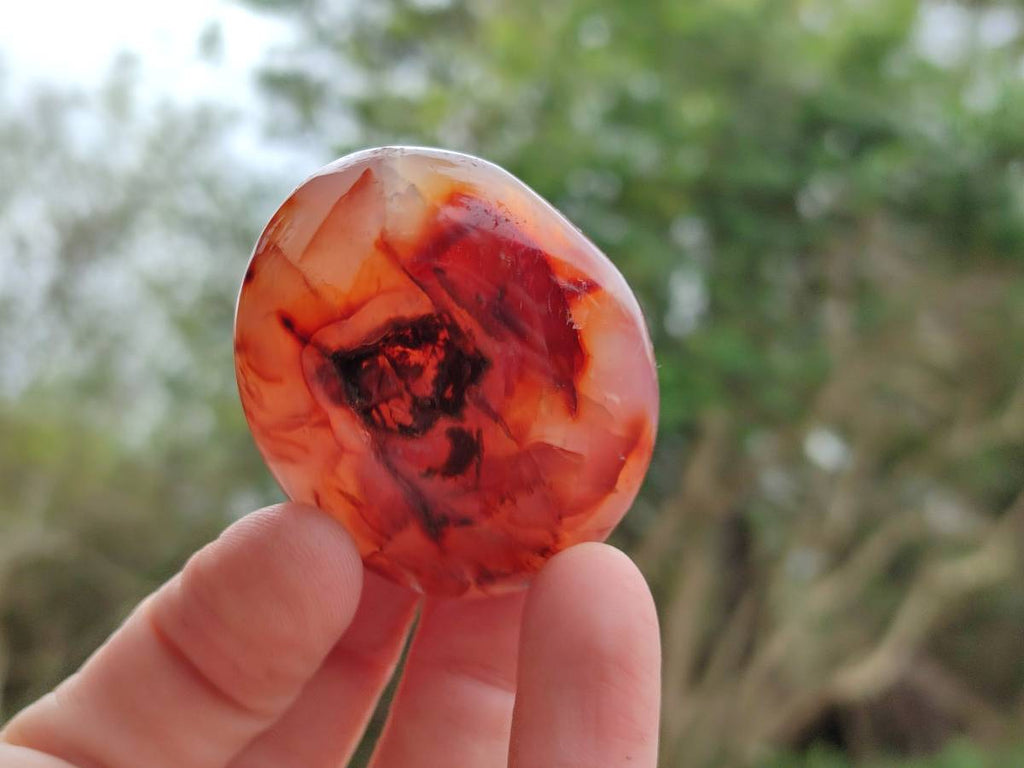 Polished Carnelian Agate Gemstone Galets x 20 From Madagascar - Toprock Gemstones and Minerals 