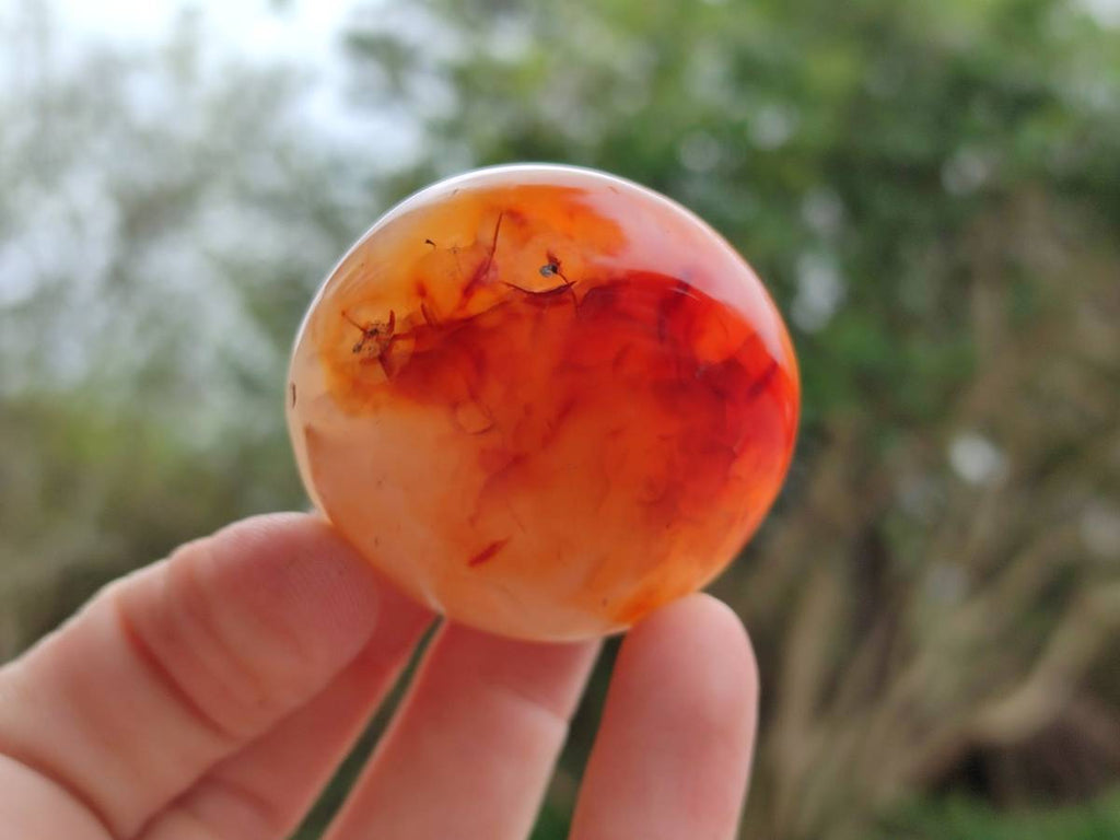 Polished Carnelian Agate Gemstone Galets x 20 From Madagascar - Toprock Gemstones and Minerals 