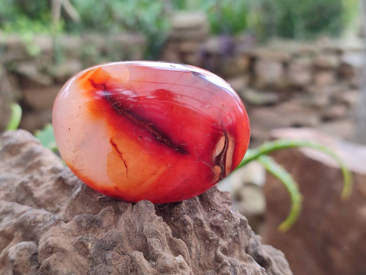 Polished Carnelian Agate Gemstone Galets x 20 From Madagascar - Toprock Gemstones and Minerals 
