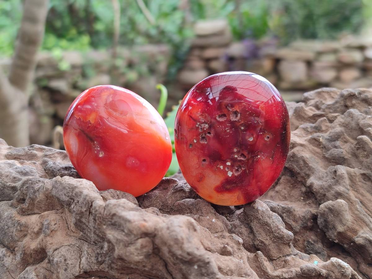 Polished Carnelian Agate Gemstone Galets x 20 From Madagascar - Toprock Gemstones and Minerals 