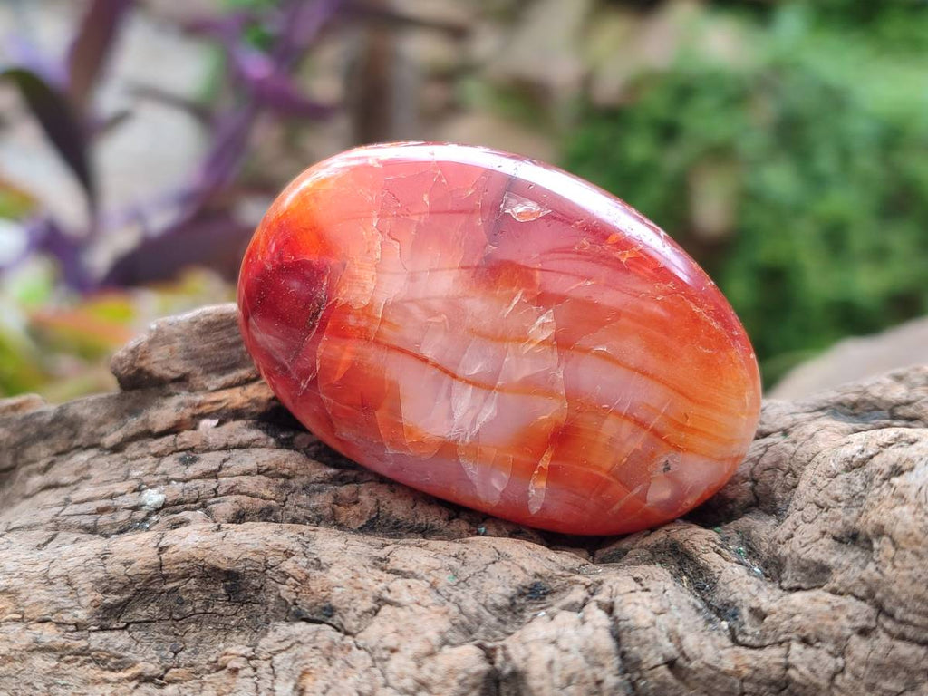 Polished Carnelian Agate Gemstone Galets x 20 From Madagascar - Toprock Gemstones and Minerals 
