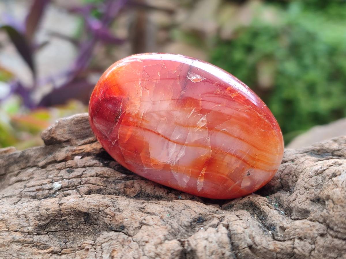 Polished Carnelian Agate Gemstone Galets x 20 From Madagascar - Toprock Gemstones and Minerals 