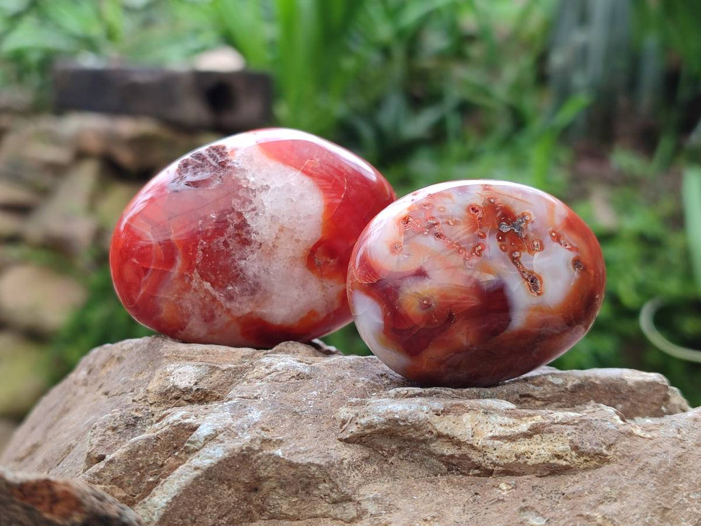 Polished Carnelian Agate Gemstone Galets x 20 From Madagascar - Toprock Gemstones and Minerals 