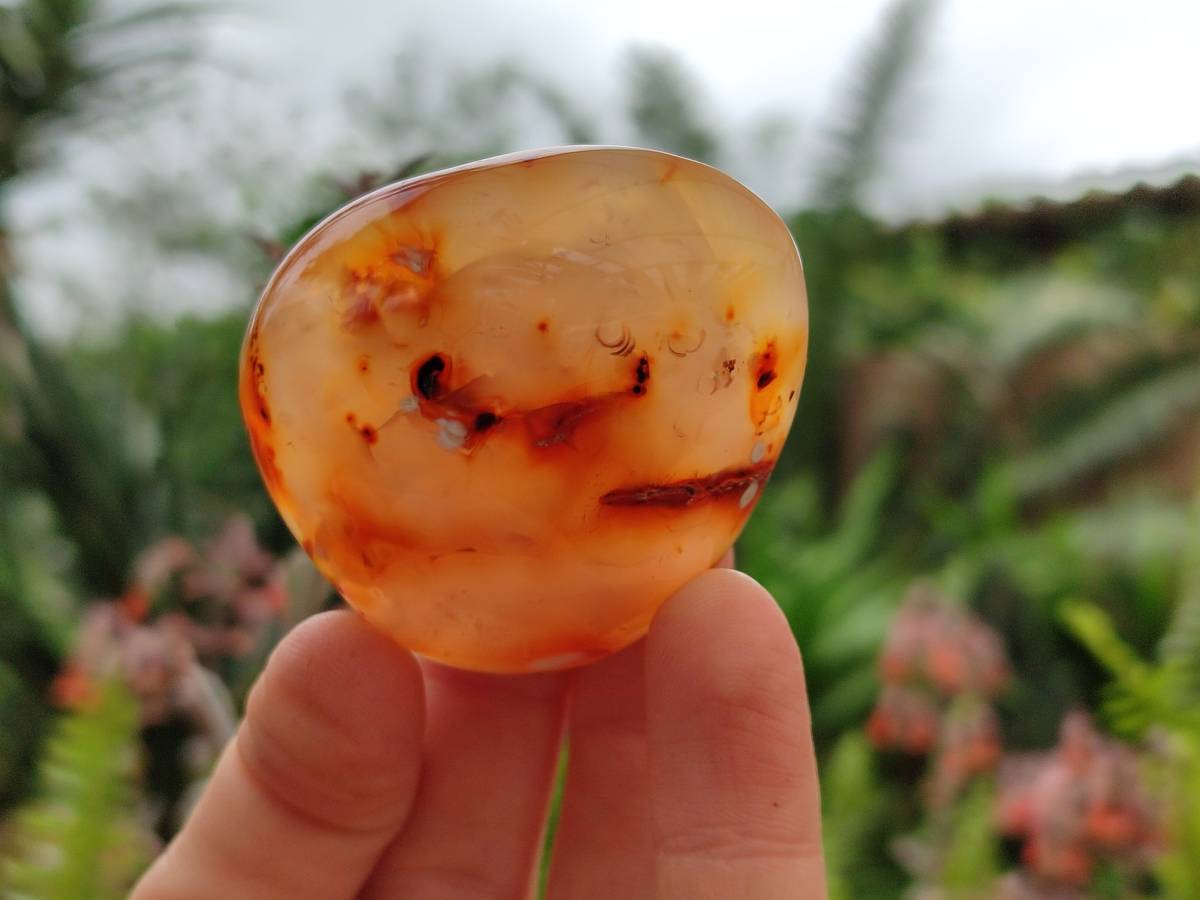 Polished Carnelian Agate Gemstone Galets x 20 From Madagascar - Toprock Gemstones and Minerals 