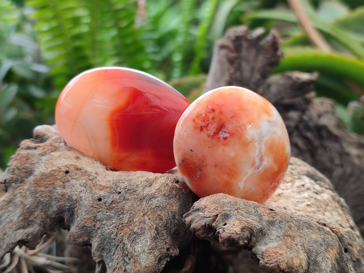 Polished Carnelian Agate Gemstone Galets x 20 From Madagascar - Toprock Gemstones and Minerals 