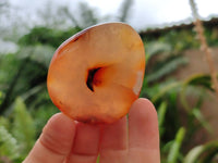 Polished Carnelian Agate Gemstone Galets x 20 From Madagascar