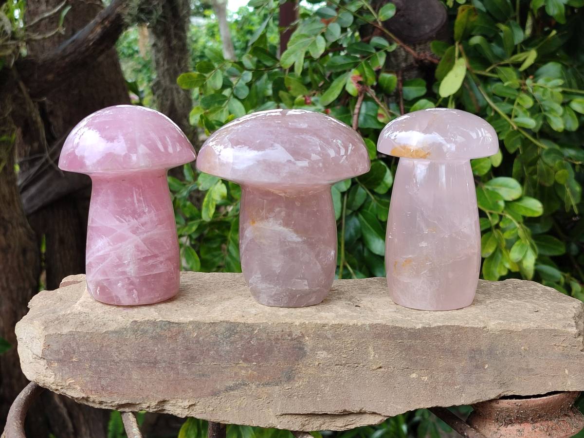 Polished Rose Quartz Mushrooms x 3 From Madagascar - Toprock Gemstones and Minerals 