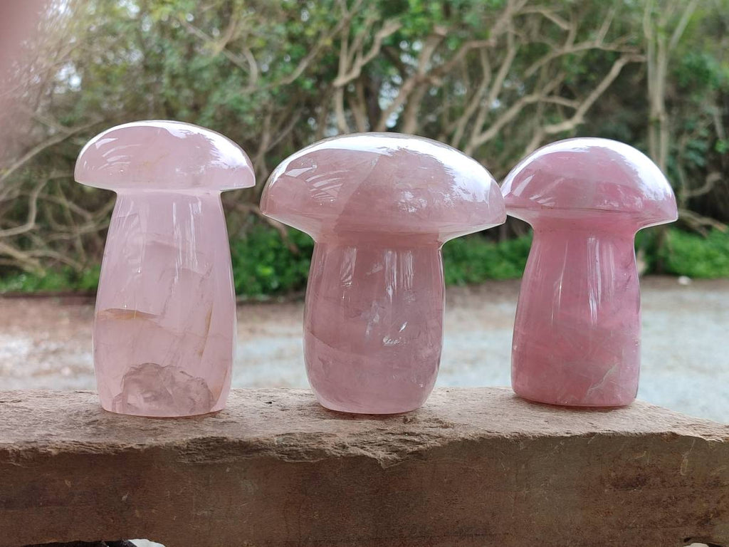 Polished Rose Quartz Mushrooms x 3 From Madagascar - Toprock Gemstones and Minerals 