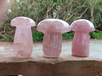 Polished Rose Quartz Mushrooms x 3 From Madagascar - Toprock Gemstones and Minerals 