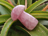 Polished Rose Quartz Mushrooms x 3 From Madagascar