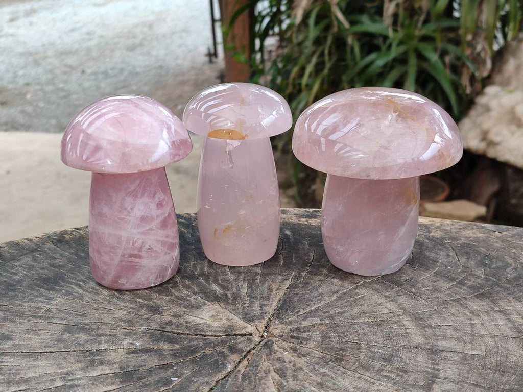 Polished Rose Quartz Mushrooms x 3 From Madagascar - Toprock Gemstones and Minerals 