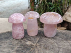 Polished Rose Quartz Mushrooms x 3 From Madagascar - Toprock Gemstones and Minerals 
