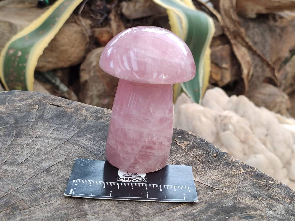 Polished Rose Quartz Mushrooms x 3 From Madagascar - Toprock Gemstones and Minerals 