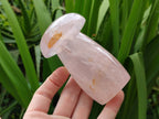 Polished Rose Quartz Mushrooms x 3 From Madagascar - Toprock Gemstones and Minerals 
