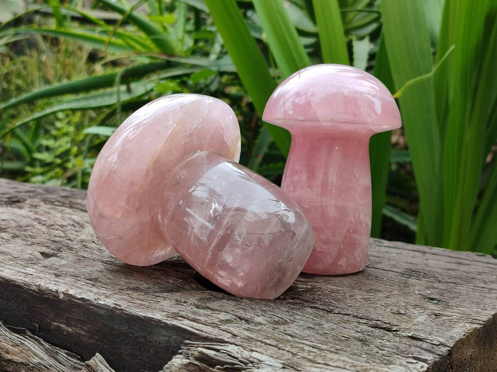 Polished Rose Quartz Mushrooms x 3 From Madagascar - Toprock Gemstones and Minerals 